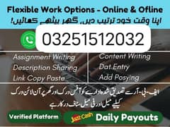 part time/full time/ online assignment/data entry work
