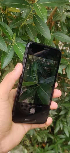 I phone xr jv