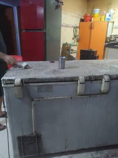 DEEP FREEZER HAIER