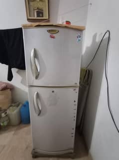 Waves Medium Size Freezer for Sale – Excellent Condition!