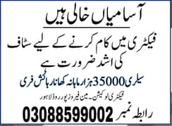 Packing jobs available