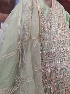 Net fancy frock