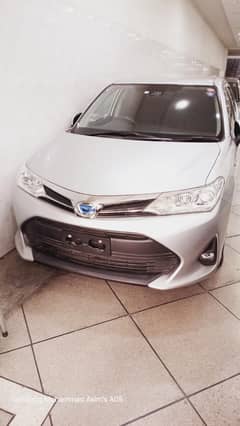 Toyota Axio Hybrid 2020/2024