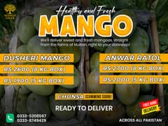 Fresh & Juicy Multani Mangoes – Delivered to Your Doorstep