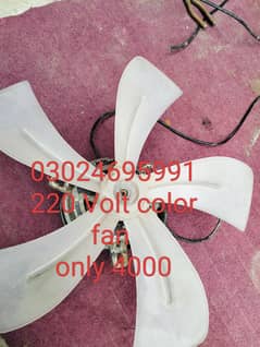 220v motor