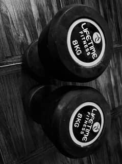 LIFETIME