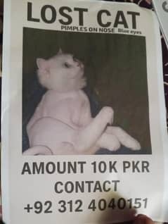 Missing