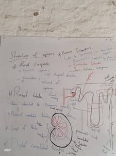 Experienced Science & English Tutor for Classes 5 to 10 – Home Tuition