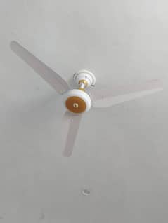 AFC AC DC FAN