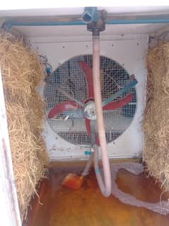 12v DC cooler good condition