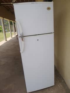 lg fridge condition 10/10  ha compraser khrab 03379396173et ho jaye ga