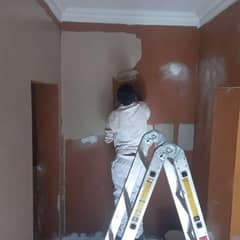 House paint & roof-heat-protection white sheet service 03225378584