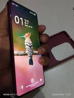 03002139681