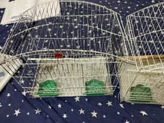 Bird cages