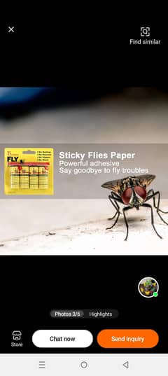 Fly