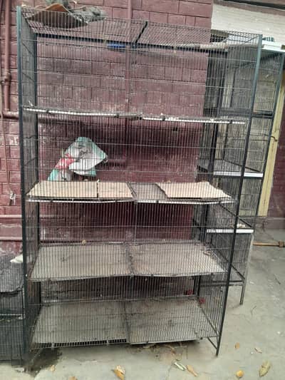 2 Strong & heavy iron cages available in reasonable price