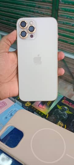 12 pro max