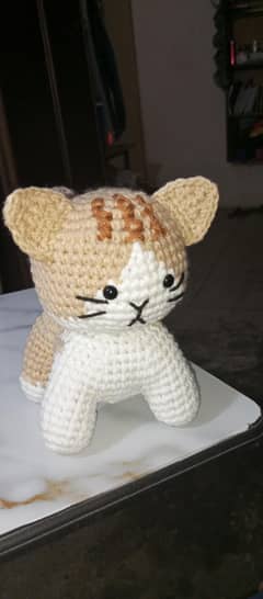 Cute Cat