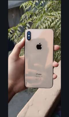 gold Xs max official PTA