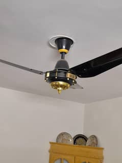 2 Celling Fans