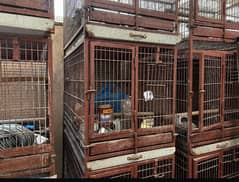 Parrot cages
