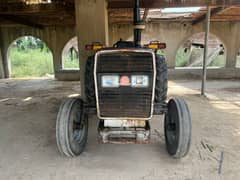 Massey