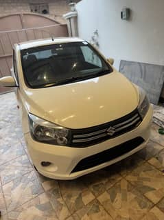 Cultus vxl 2018/2019