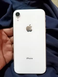 iphone XR 128 GB Condition 10 by 10 color white battery health 76
