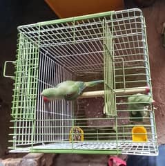 cage