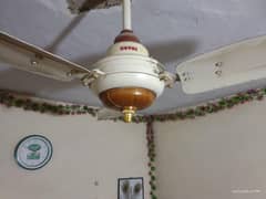 Ceiling