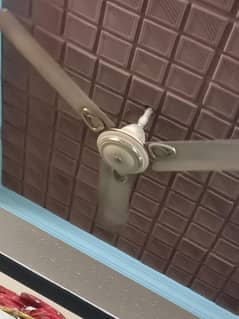 ceiling fans
