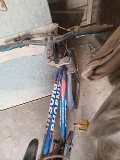 Cycle for sale