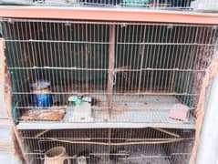 Folding cage