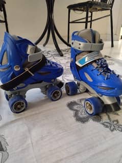 Skates