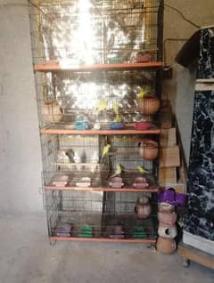 used cage for sale
