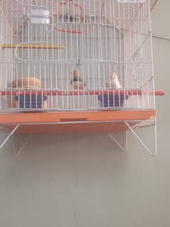 full