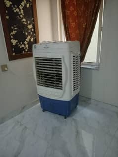 Air collar 2 years Guarantee
