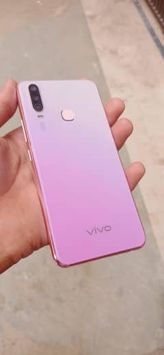 vivo
