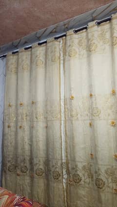 beautiful golden curtains with organza  curtains