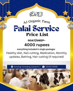 palai