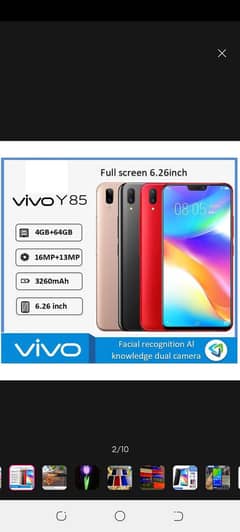 vivo