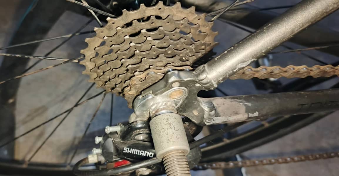 Professional raceing cycle in good condition 9/10 3