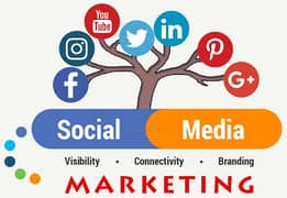 Social media Expert