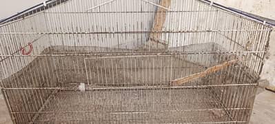 parrot cage
