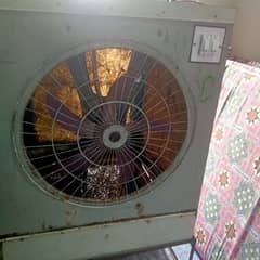 12 watt cooler medium size 03215479892