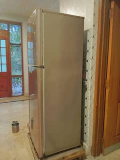 PEL 12CFT Refrigerator for Sale in Lahore