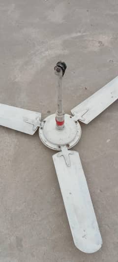 Ceiling