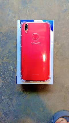 vivo