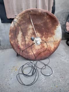 Dish