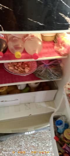 pel refrigerator medium size for sale
